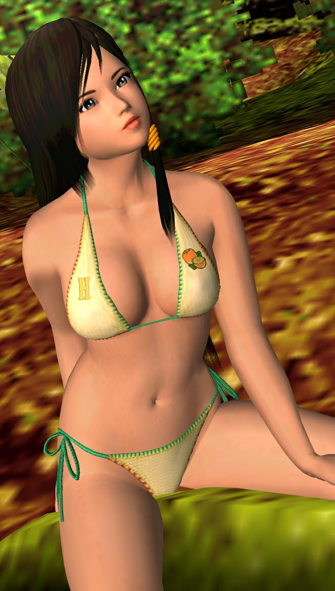 Dead or Alive: Paradise